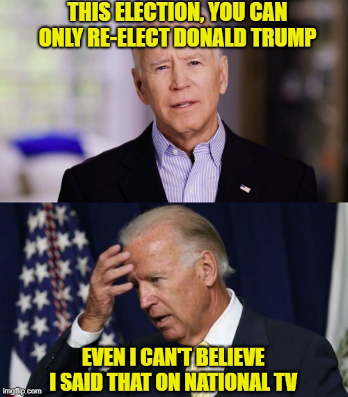 THIS ELECTION, YOU CAN ONLY RE-ELECT DONALD TRUMP; EVEN I CAN'T BELIEVE I SAID THAT ON NATIONAL TV | image tagged in joe biden worries,joe biden 2020 | made w/ Imgflip meme maker