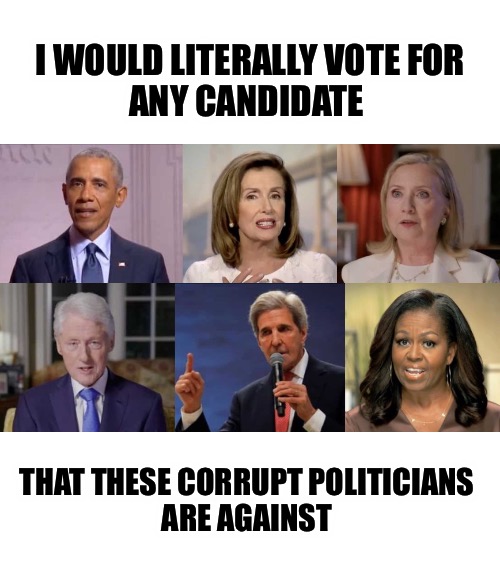 And vice versa | I WOULD LITERALLY VOTE FOR
ANY CANDIDATE; THAT THESE CORRUPT POLITICIANS 
ARE AGAINST | image tagged in obama,clinton,pelosi | made w/ Imgflip meme maker