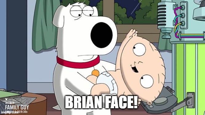 BRIAN FACE! | image tagged in funny | made w/ Imgflip meme maker