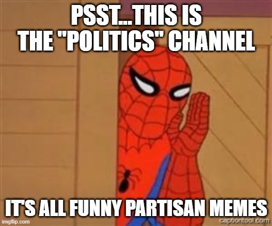 psst spiderman | PSST...THIS IS THE "POLITICS" CHANNEL IT'S ALL FUNNY PARTISAN MEMES | image tagged in psst spiderman | made w/ Imgflip meme maker