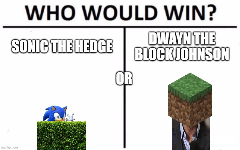 upvote for Sonic comment for Dwayn | SONIC THE HEDGE; DWAYN THE BLOCK JOHNSON; OR | image tagged in memes,who would win | made w/ Imgflip meme maker