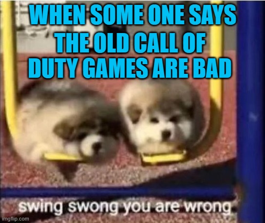 new gmers say | WHEN SOME ONE SAYS; THE OLD CALL OF DUTY GAMES ARE BAD | image tagged in call of duty,funny dogs | made w/ Imgflip meme maker