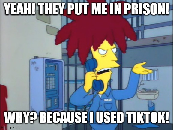 No | YEAH! THEY PUT ME IN PRISON! WHY? BECAUSE I USED TIKTOK! | image tagged in sideshow bob | made w/ Imgflip meme maker