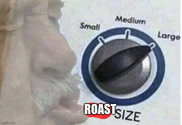 Oof size large | ROAST | image tagged in oof size large | made w/ Imgflip meme maker