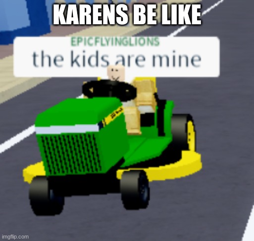 The kids are mine | KARENS BE LIKE | image tagged in the kids are mine | made w/ Imgflip meme maker