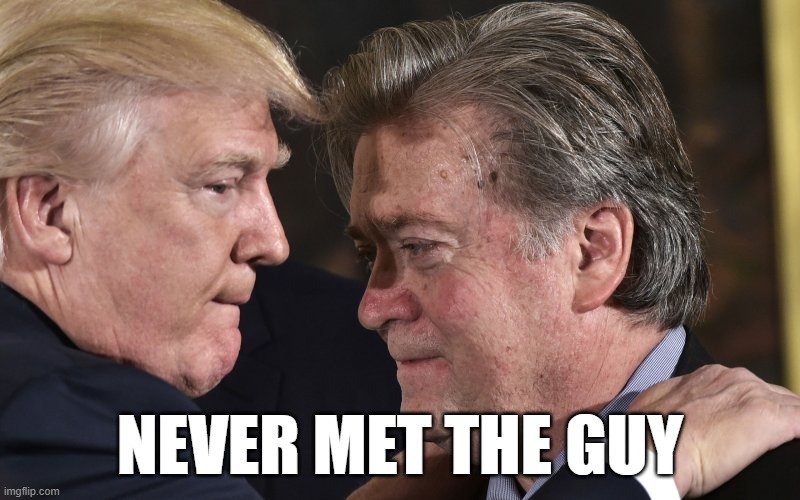 We told you it was fraud in 2018 | NEVER MET THE GUY | image tagged in donald trump,steve bannon,trump wall,fraud | made w/ Imgflip meme maker