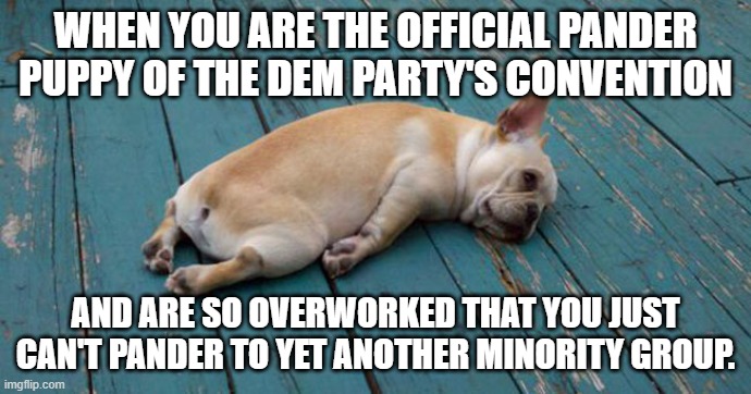 Exhausted  | WHEN YOU ARE THE OFFICIAL PANDER PUPPY OF THE DEM PARTY'S CONVENTION; AND ARE SO OVERWORKED THAT YOU JUST CAN'T PANDER TO YET ANOTHER MINORITY GROUP. | image tagged in exhausted | made w/ Imgflip meme maker