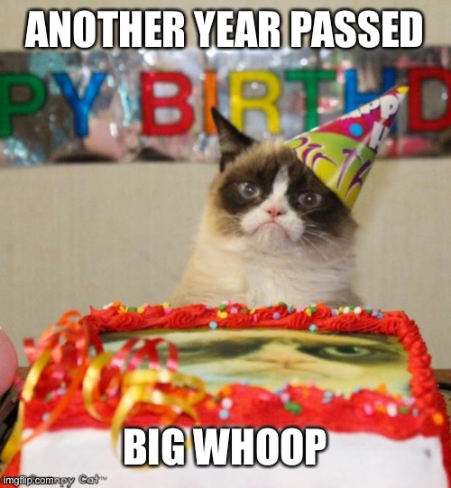 I really don’t feel 18. | ANOTHER YEAR PASSED; BIG WHOOP | image tagged in memes,grumpy cat birthday,grumpy cat | made w/ Imgflip meme maker