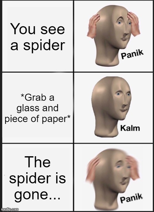 Panik Kalm Panik | You see a spider; *Grab a glass and piece of paper*; The spider is gone... | image tagged in memes,panik kalm panik | made w/ Imgflip meme maker