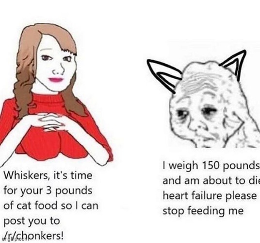 chonkers is evil and giving pets heart disease for internet points is trashy | image tagged in tag | made w/ Imgflip meme maker