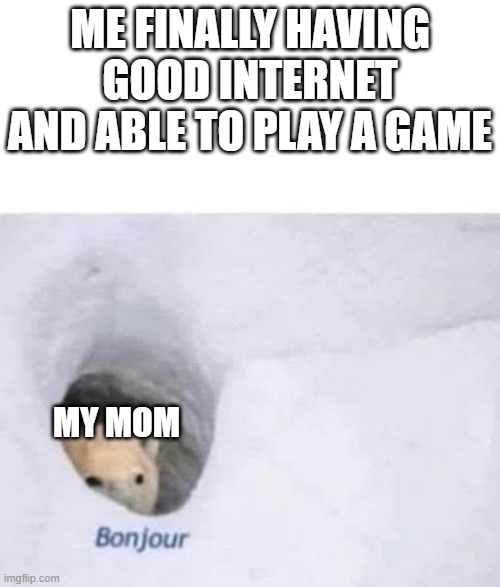 Bonjour | ME FINALLY HAVING GOOD INTERNET AND ABLE TO PLAY A GAME; MY MOM | image tagged in bonjour | made w/ Imgflip meme maker