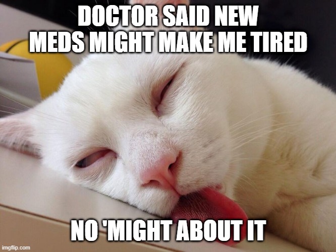 new meds kitty | DOCTOR SAID NEW MEDS MIGHT MAKE ME TIRED; NO 'MIGHT ABOUT IT | image tagged in doctor,new meds,kitty | made w/ Imgflip meme maker