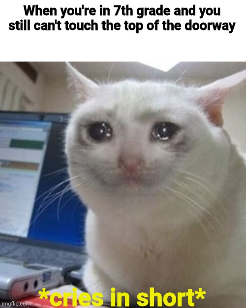 Crying cat | When you're in 7th grade and you still can't touch the top of the doorway; *cries in short* | image tagged in crying cat,memes,funny,why am i so short,sadd | made w/ Imgflip meme maker