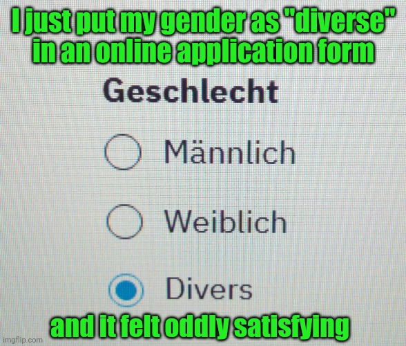 Does this count as "officially" coming out? | I just put my gender as "diverse"
in an online application form; and it felt oddly satisfying | image tagged in gender identity,diverse,officially queer now | made w/ Imgflip meme maker