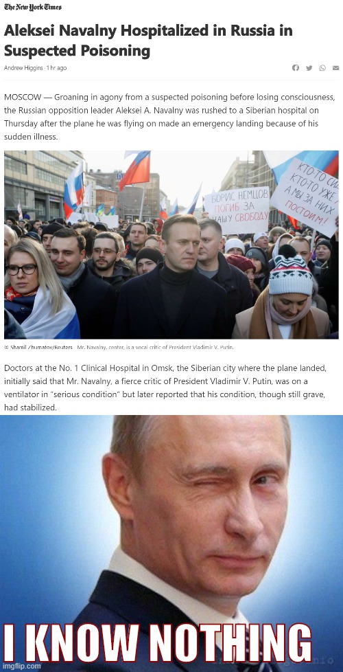 Things that make you go hmmm | I KNOW NOTHING | image tagged in putin winking,russia,vladimir putin,putin,poison,assassination | made w/ Imgflip meme maker