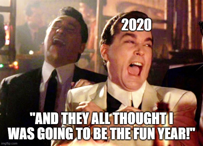 Fun Year | 2020; "AND THEY ALL THOUGHT I WAS GOING TO BE THE FUN YEAR!" | image tagged in memes,good fellas hilarious | made w/ Imgflip meme maker