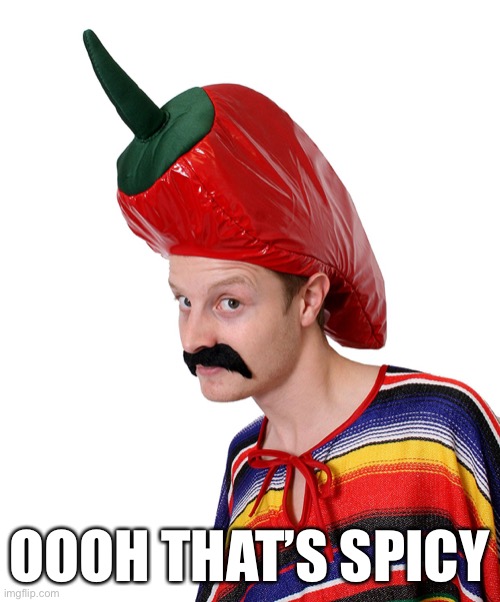 Hot n' Spicy | OOOH THAT’S SPICY | image tagged in hot n' spicy | made w/ Imgflip meme maker