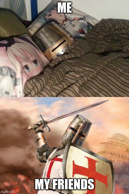 ME; MY FRIENDS | image tagged in crusader,sleeping crusader,weeb,sleeping | made w/ Imgflip meme maker