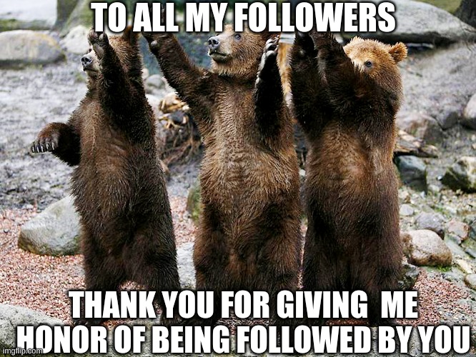 bears – how about yes | TO ALL MY FOLLOWERS; THANK YOU FOR GIVING  ME HONOR OF BEING FOLLOWED BY YOU | image tagged in bears how about yes | made w/ Imgflip meme maker