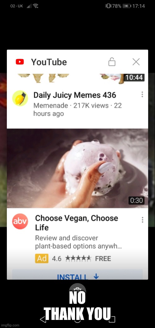 NO THANK YOU | image tagged in no | made w/ Imgflip meme maker