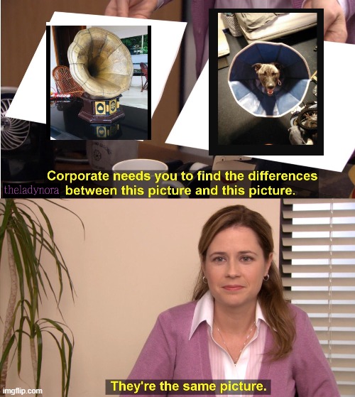 What my brain saw when my dog came back from the vets... | image tagged in memes,they're the same picture | made w/ Imgflip meme maker