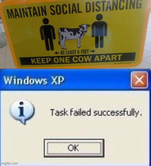 that's not how social distancing works! | image tagged in task failed successfully,memes,funny,stupid signs,social distancing,cows | made w/ Imgflip meme maker