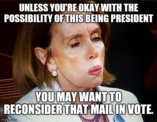 Nancy Pelosi PB Sandwich | UNLESS YOU'RE OKAY WITH THE POSSIBILITY OF THIS BEING PRESIDENT; YOU MAY WANT TO RECONSIDER THAT MAIL IN VOTE. | image tagged in nancy pelosi pb sandwich | made w/ Imgflip meme maker