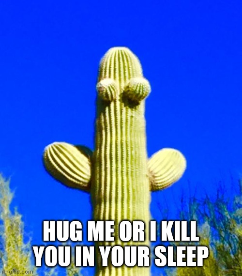 Huggy Cactus  |  HUG ME OR I KILL YOU IN YOUR SLEEP | image tagged in huggy cactus | made w/ Imgflip meme maker
