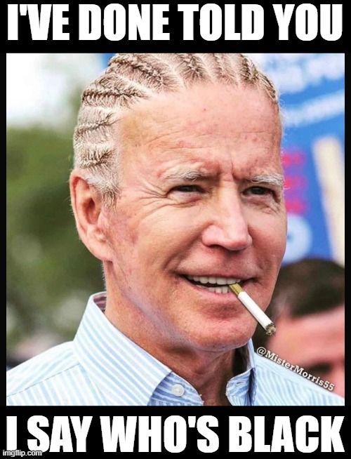 Done told you | I'VE DONE TOLD YOU; I SAY WHO'S BLACK | image tagged in joe biden | made w/ Imgflip meme maker