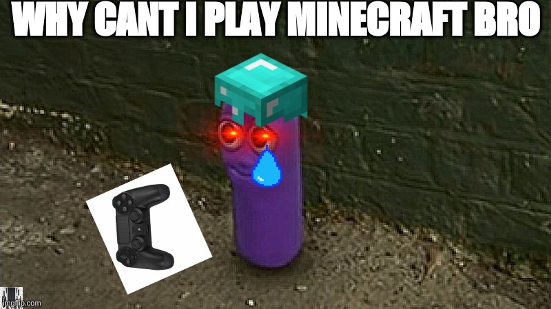 Minecraft |  WHY CANT I PLAY MINECRAFT BRO | image tagged in meme,funny,dank,beanos,minecraft | made w/ Imgflip meme maker