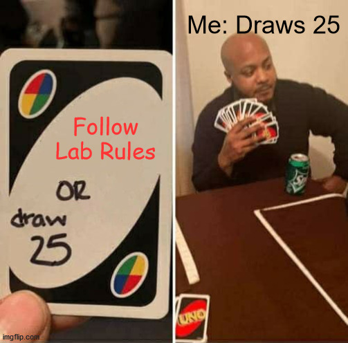 Lol | Me: Draws 25; Follow Lab Rules | image tagged in memes,uno draw 25 cards | made w/ Imgflip meme maker