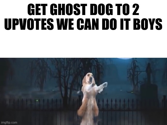 yes | GET GHOST DOG TO 2 UPVOTES WE CAN DO IT BOYS | image tagged in fun | made w/ Imgflip meme maker