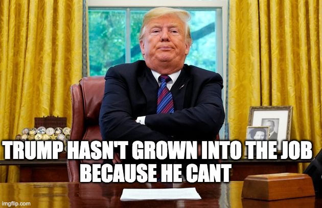 Trump Can't | TRUMP HASN'T GROWN INTO THE JOB
BECAUSE HE CANT | image tagged in pouting | made w/ Imgflip meme maker