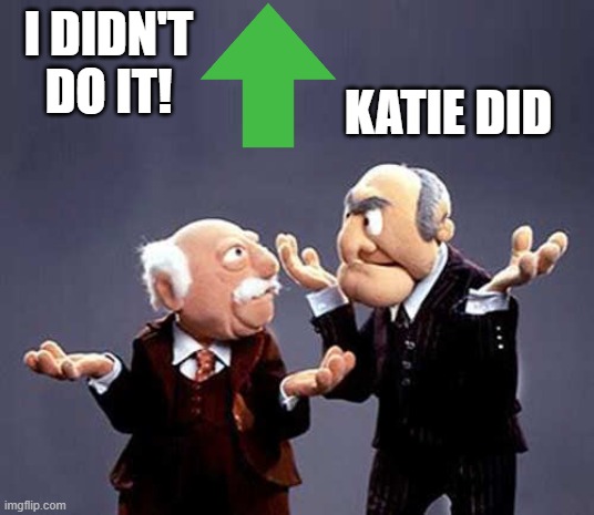 statler and waldorf | I DIDN'T DO IT! KATIE DID | image tagged in statler and waldorf | made w/ Imgflip meme maker
