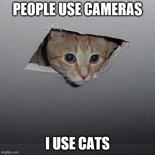 Ceiling Cat Meme | PEOPLE USE CAMERAS; I USE CATS | image tagged in memes,ceiling cat | made w/ Imgflip meme maker