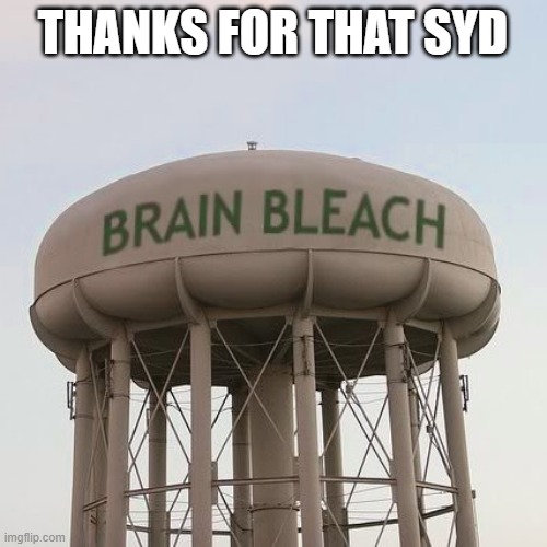 THANKS FOR THAT SYD | image tagged in brain bleach tower | made w/ Imgflip meme maker