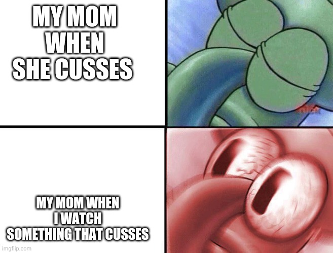 It makes no sense | MY MOM WHEN SHE CUSSES; MY MOM WHEN I WATCH SOMETHING THAT CUSSES | image tagged in sleeping squidward | made w/ Imgflip meme maker