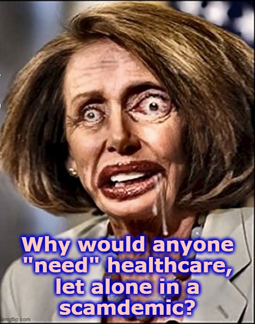 Why would anyone "need" healthcare, let alone in a scamdemic? | Why would anyone
"need" healthcare,
let alone in a
scamdemic? | image tagged in nancy pelosi crazy 1 | made w/ Imgflip meme maker