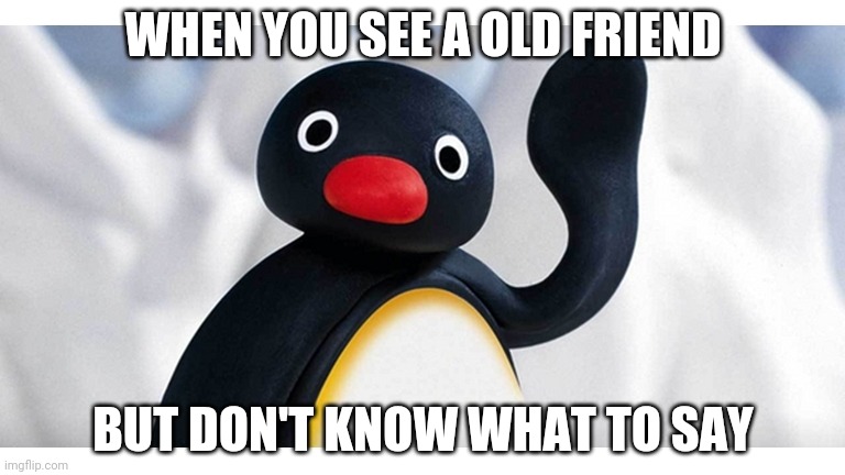 Noot noot wave | WHEN YOU SEE A OLD FRIEND; BUT DON'T KNOW WHAT TO SAY | image tagged in noot noot wave | made w/ Imgflip meme maker