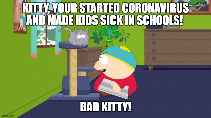 Mr Kitty starts coronavirus! | KITTY, YOUR STARTED CORONAVIRUS AND MADE KIDS SICK IN SCHOOLS! BAD KITTY! | image tagged in coronavirus meme | made w/ Imgflip meme maker