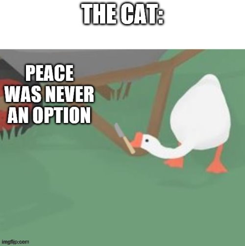 peace was never an option but it's the other goose | THE CAT: | image tagged in peace was never an option but it's the other goose | made w/ Imgflip meme maker