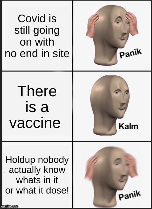 Covid-Panik | Covid is still going on with no end in site; There is a vaccine; Holdup nobody actually know whats in it or what it dose! | image tagged in memes,panik kalm panik,covid-19,vaccines | made w/ Imgflip meme maker