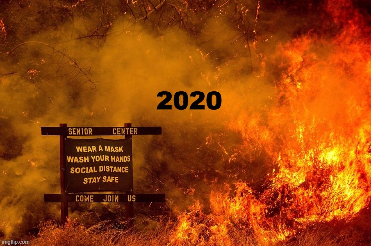 This year in a nutshell | 2020 | image tagged in 2020,funny memes,funny | made w/ Imgflip meme maker