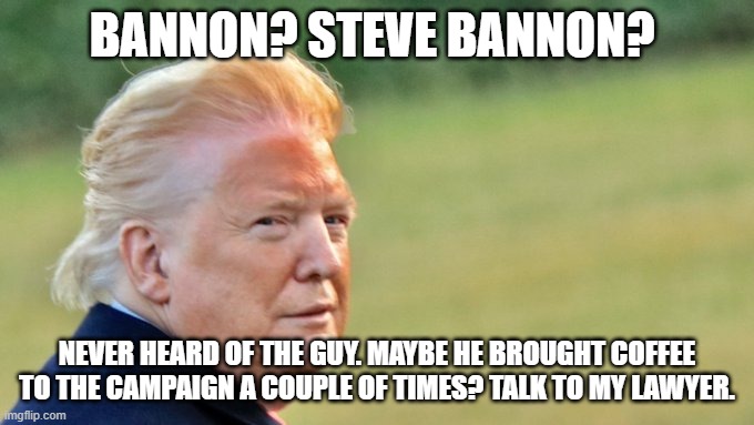 Trump Bad Face Day | BANNON? STEVE BANNON? NEVER HEARD OF THE GUY. MAYBE HE BROUGHT COFFEE TO THE CAMPAIGN A COUPLE OF TIMES? TALK TO MY LAWYER. | image tagged in trump bad face day | made w/ Imgflip meme maker