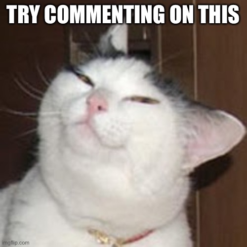 Bloo was here. | TRY COMMENTING ON THIS | image tagged in smug cat | made w/ Imgflip meme maker