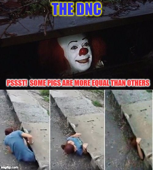 Pennywise | THE DNC; PSSST!  SOME PIGS ARE MORE EQUAL THAN OTHERS | image tagged in pennywise,apparatchik,usefulidiot | made w/ Imgflip meme maker