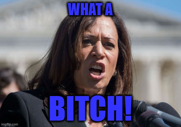 WHAT A BITCH! | made w/ Imgflip meme maker