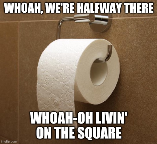 IDK what to call this. | WHOAH, WE'RE HALFWAY THERE; WHOAH-OH LIVIN' ON THE SQUARE | image tagged in toilet paper | made w/ Imgflip meme maker