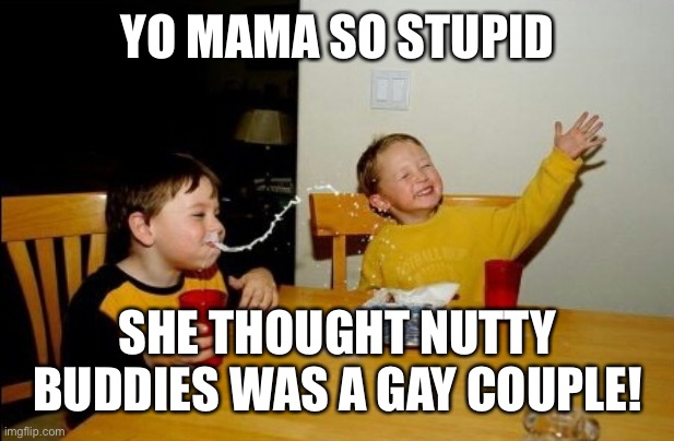 Yo Mamas So Fat Meme | YO MAMA SO STUPID SHE THOUGHT NUTTY BUDDIES WAS A GAY COUPLE! | image tagged in memes,yo mamas so fat | made w/ Imgflip meme maker