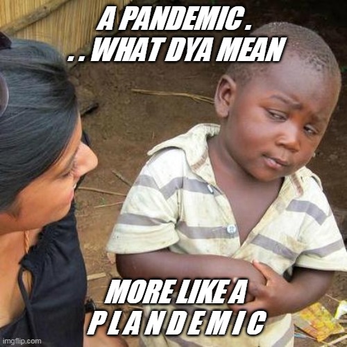 Third World Skeptical Kid | A PANDEMIC . . . WHAT DYA MEAN; MORE LIKE A P L A N D E M I C | image tagged in memes,third world skeptical kid | made w/ Imgflip meme maker